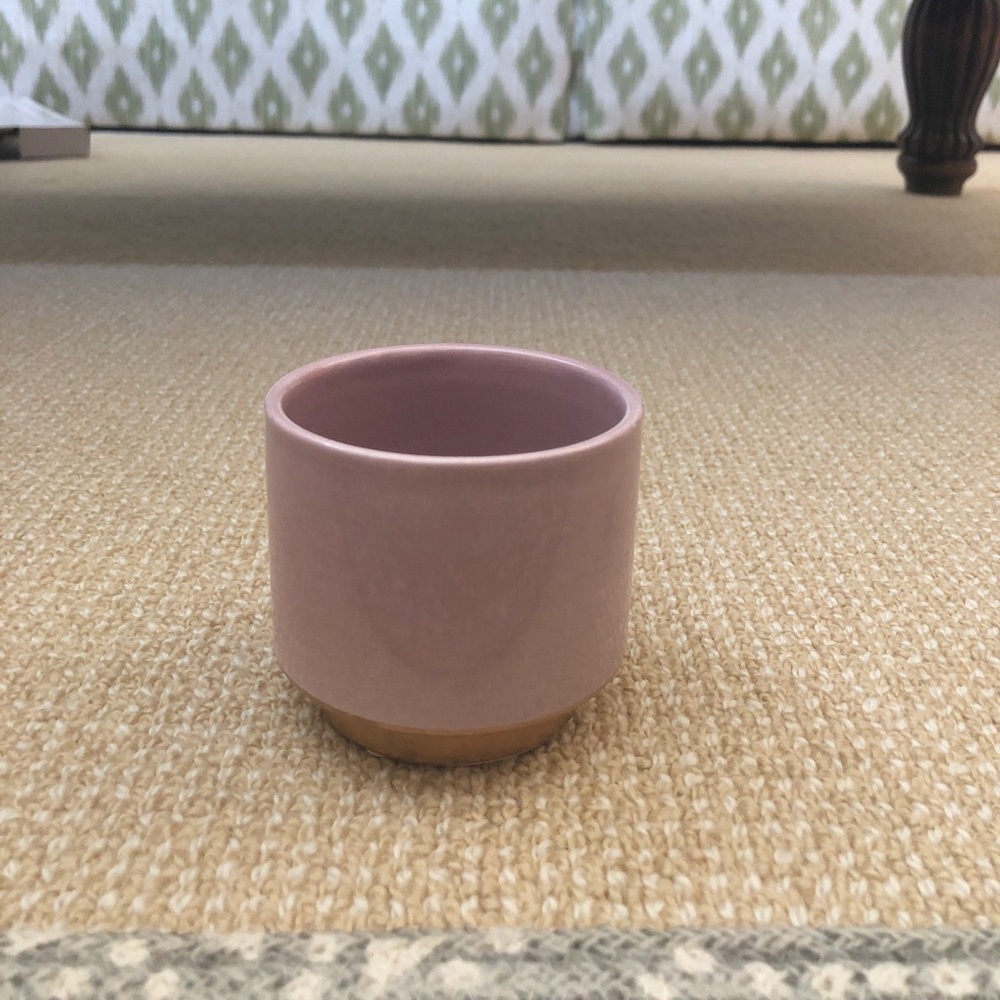 Plant Pot